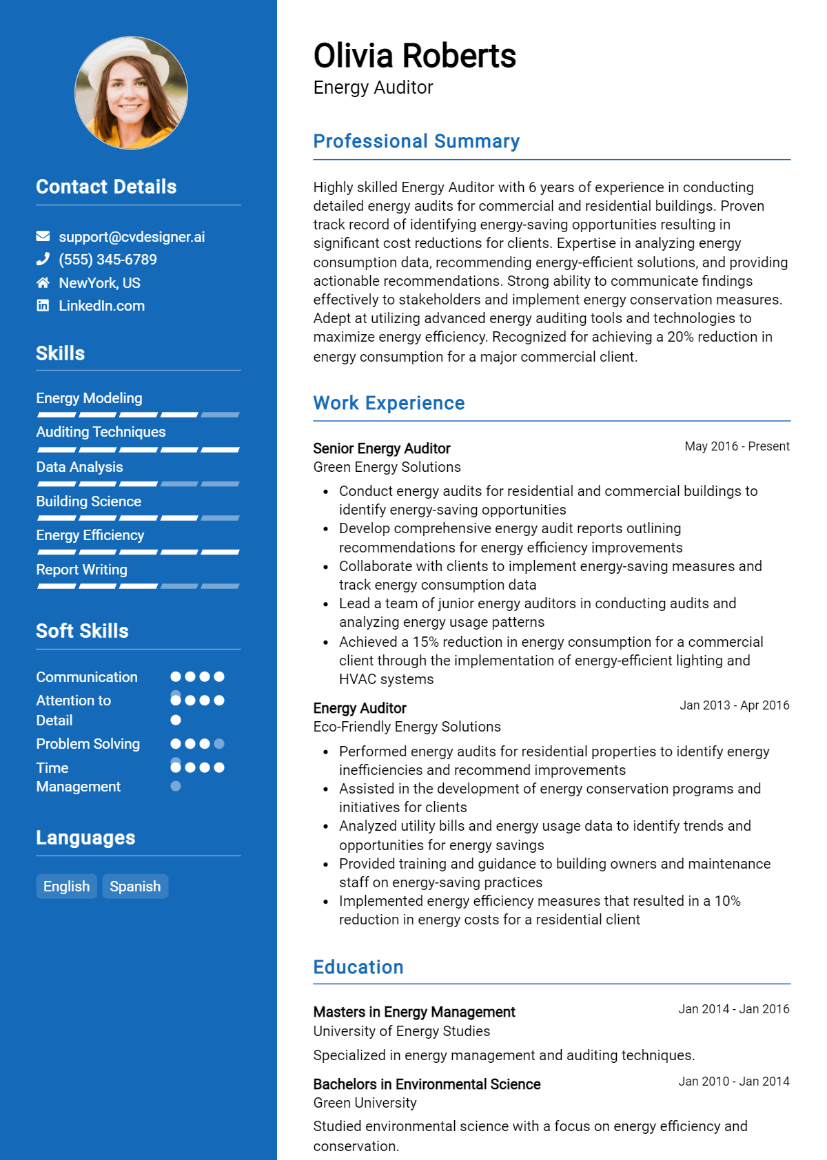 Energy Auditor Resume Example