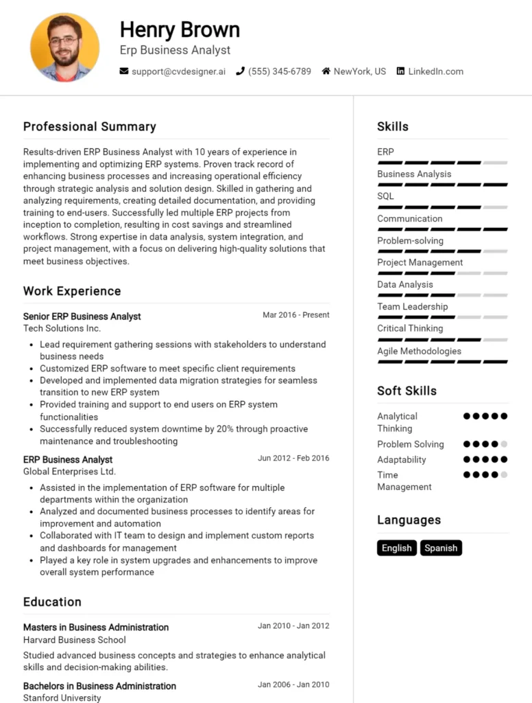 Erp Business Analyst CV Example