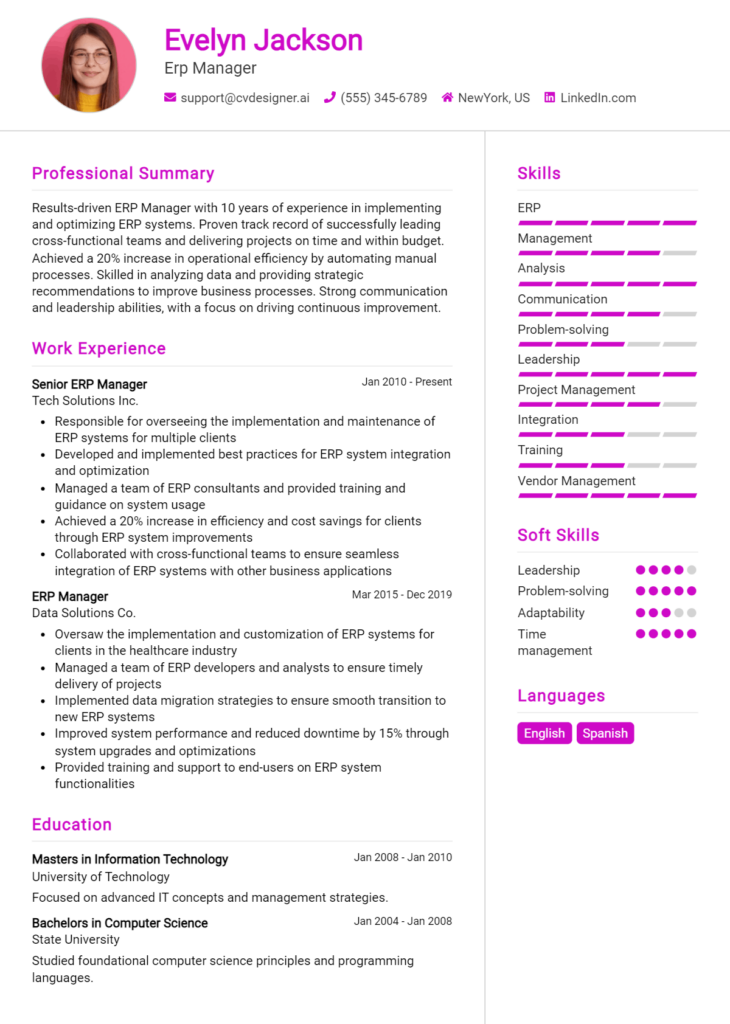 Erp Manager Resume Example