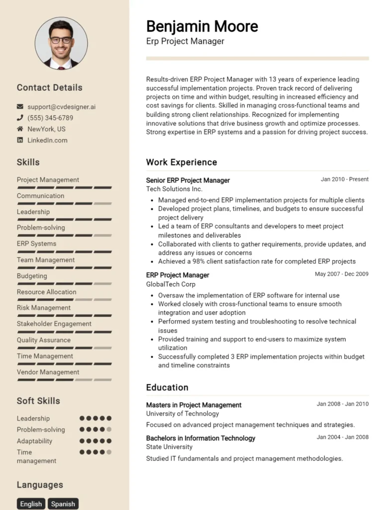 Erp Project Manager CV Example