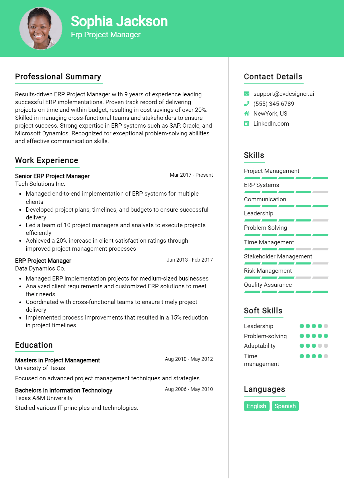 Erp Project Manager Resume Example