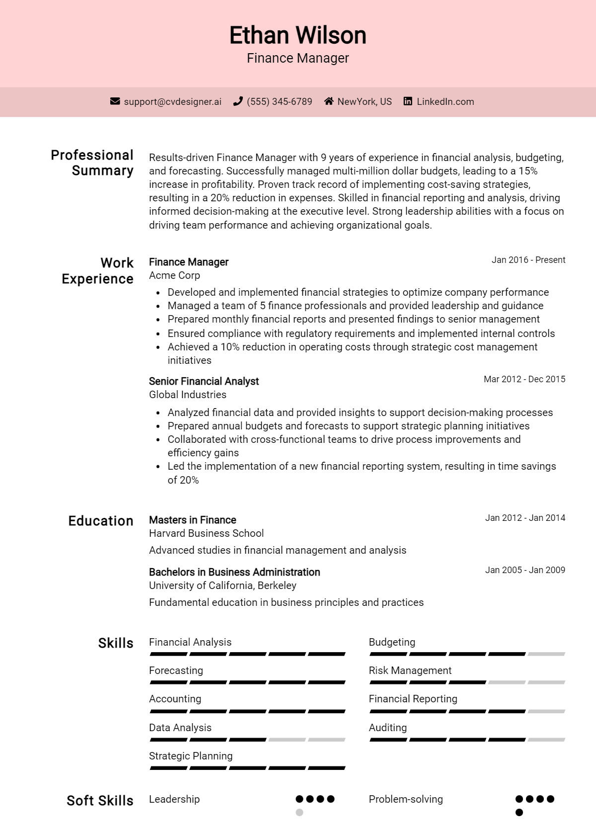 Finance Manager Resume Example