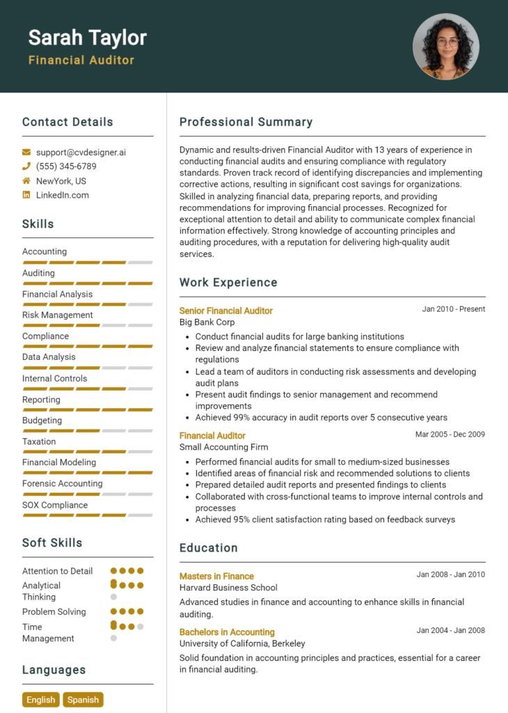 Financial Auditor Resume Example