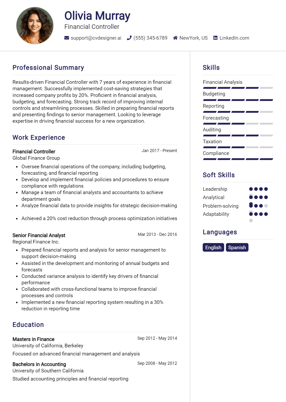 Financial Controller Resume Example