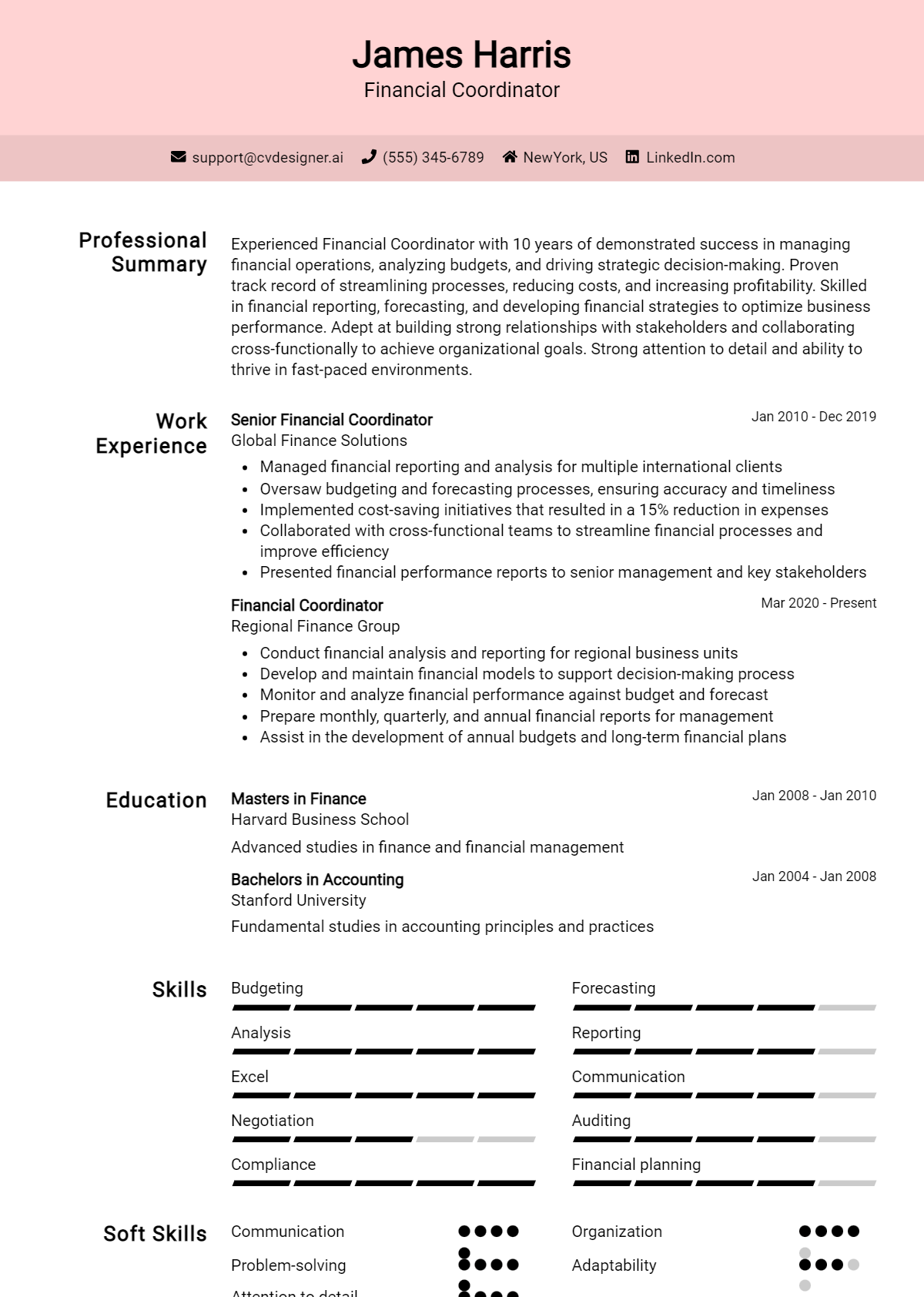 Financial Coordinator Resume Example