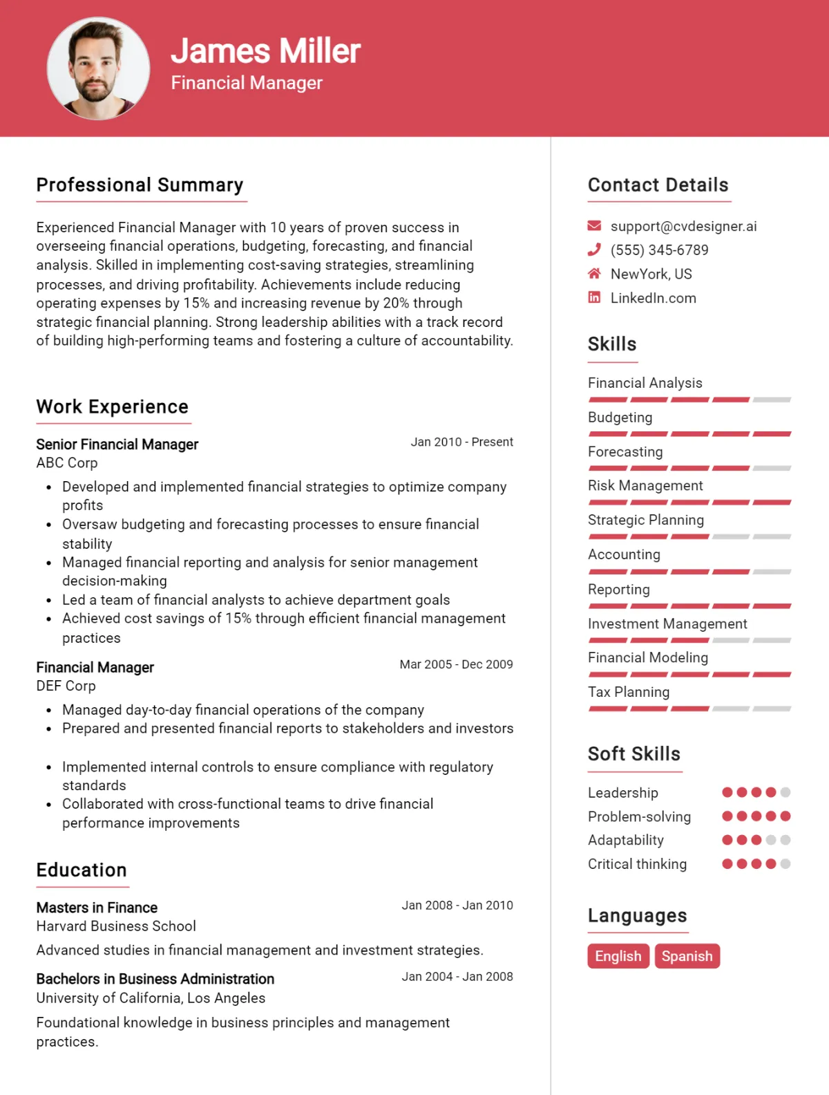Financial Manager CV Example