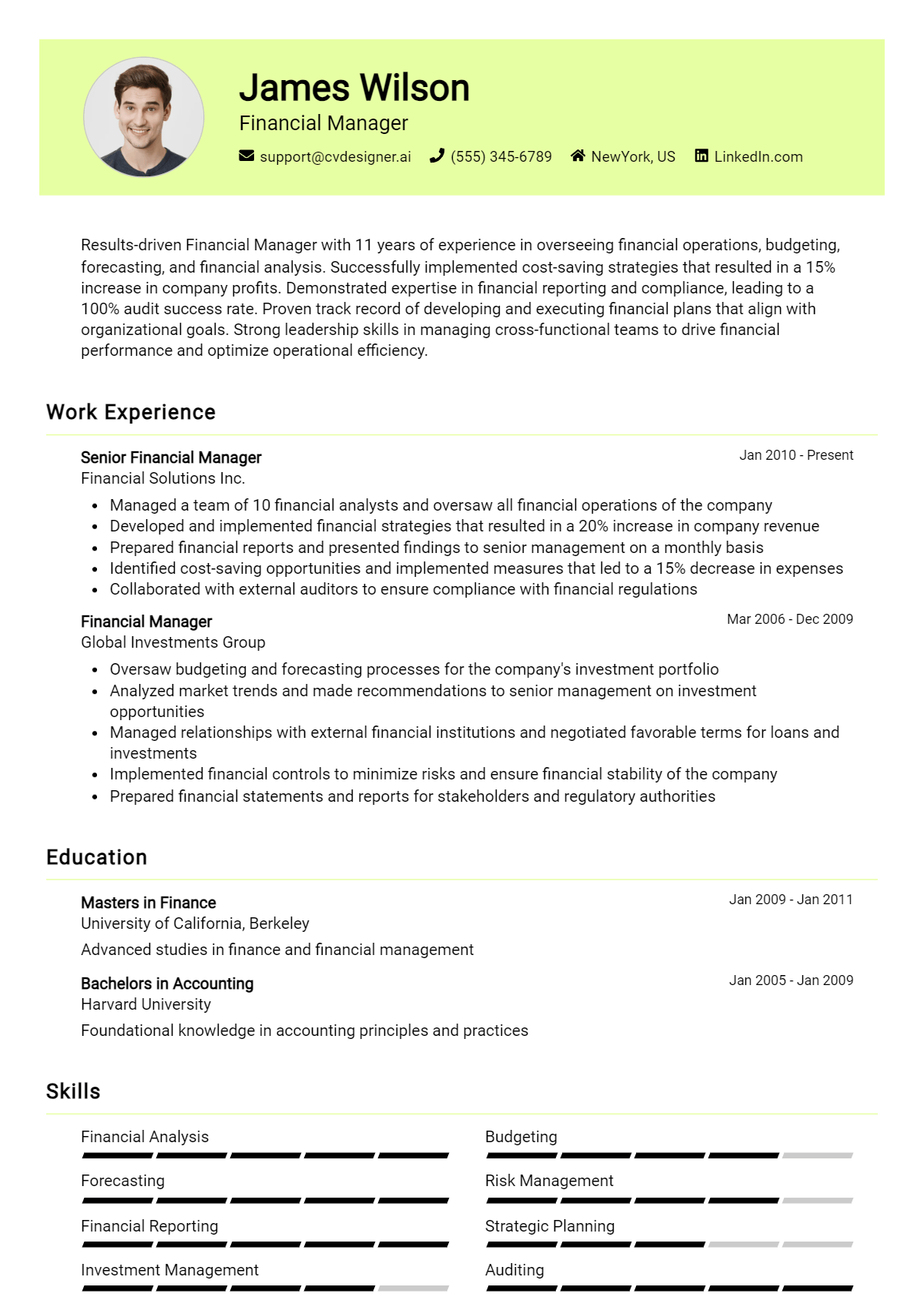 Financial Manager Resume Example