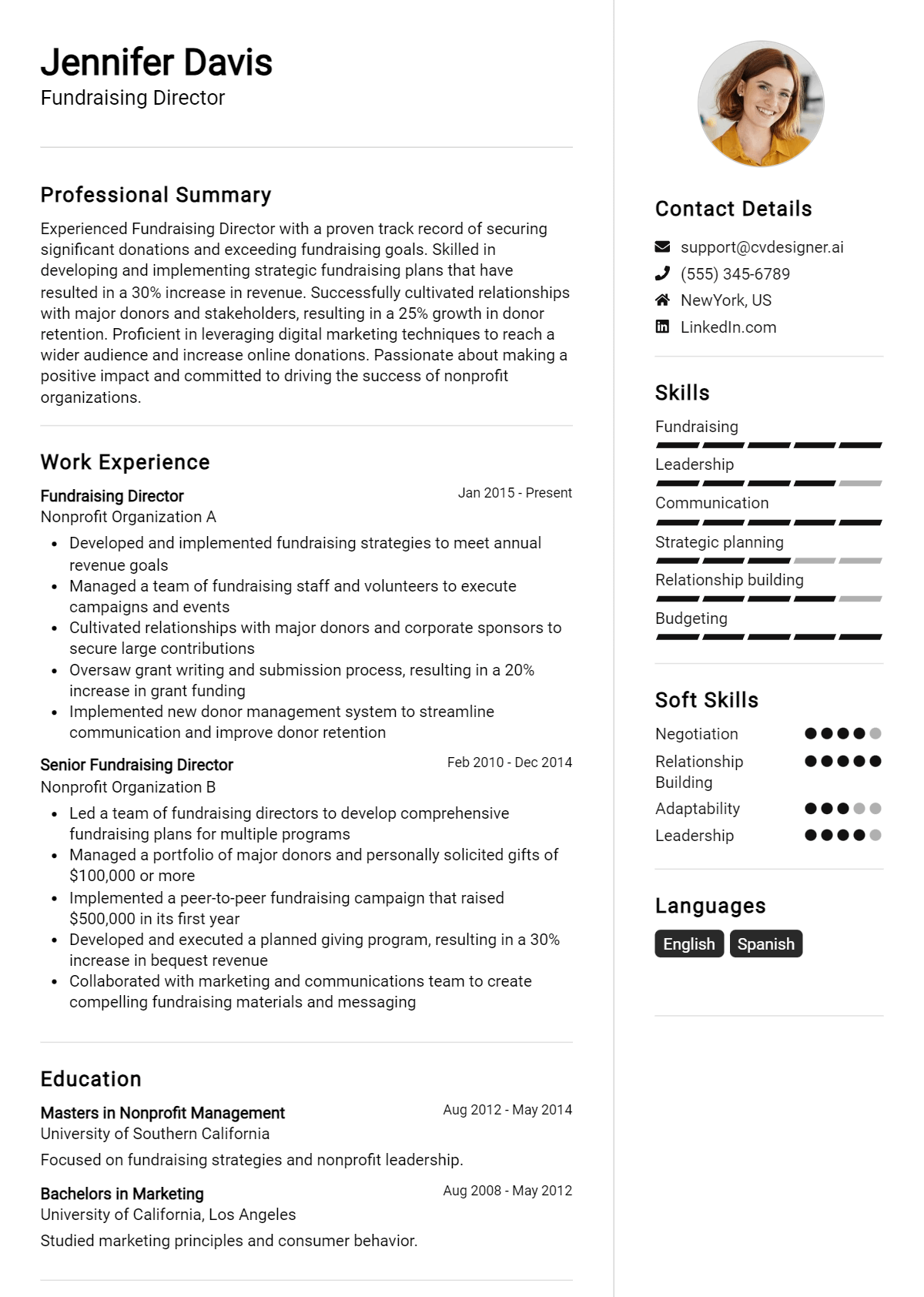 Fundraising Director Resume Example