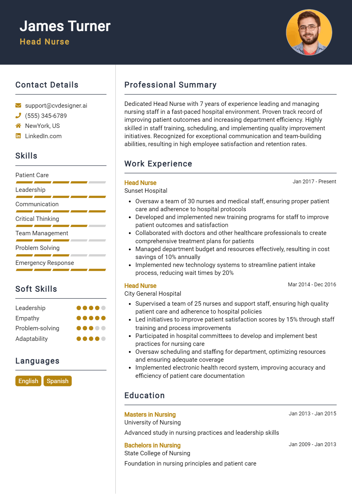 Head Nurse Resume Example