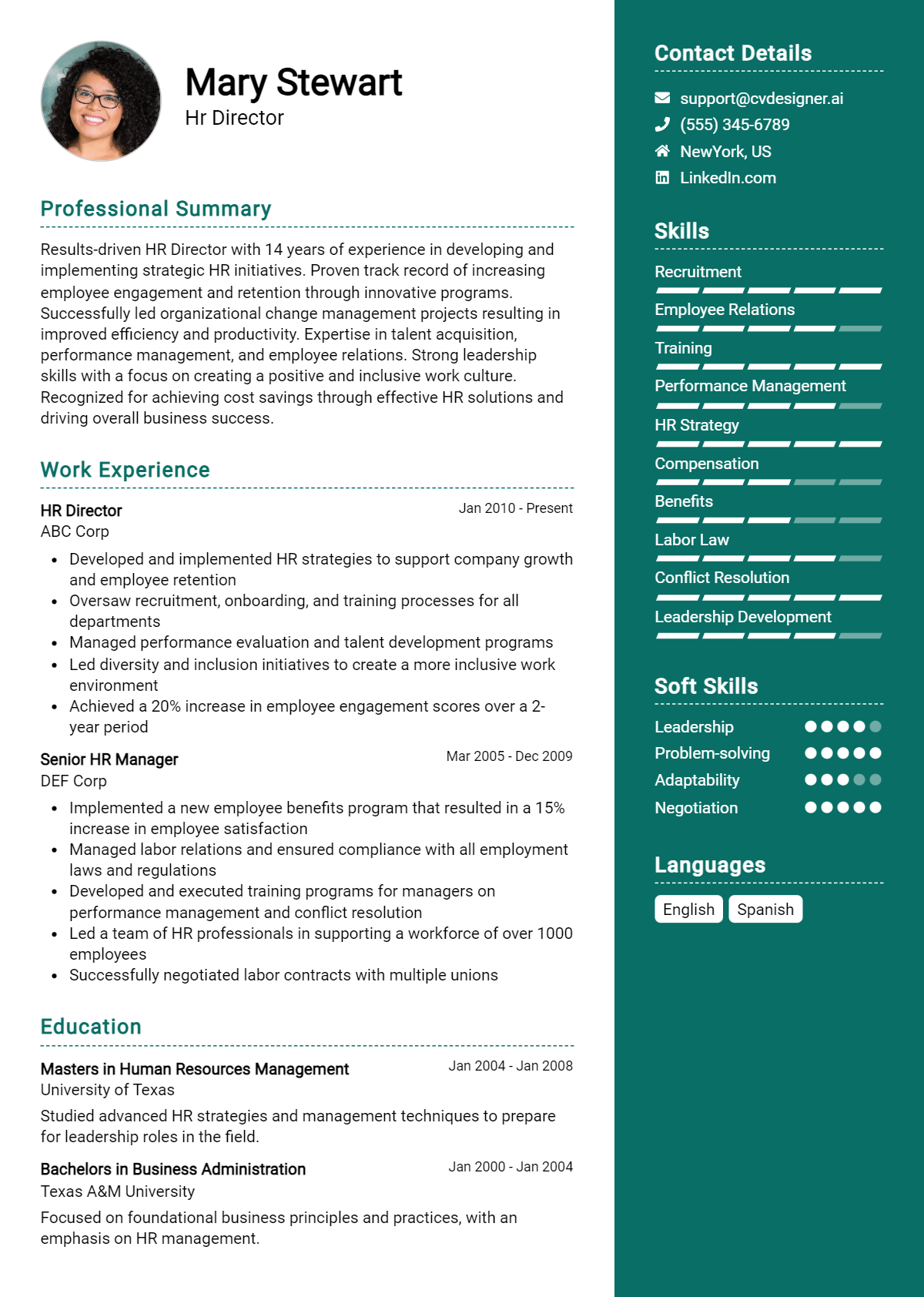 Hr Director Resume Example