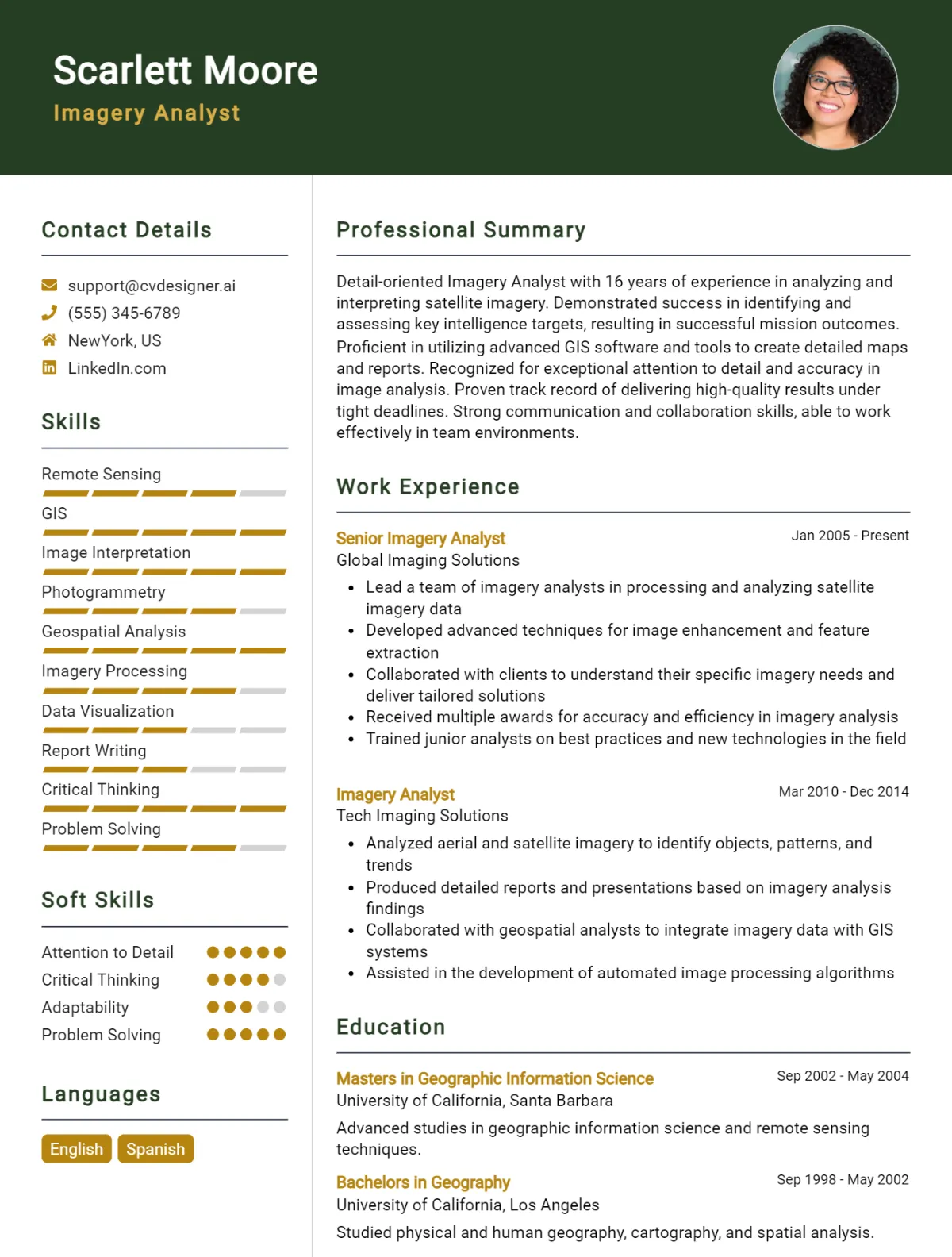 Imagery Analyst CV Example