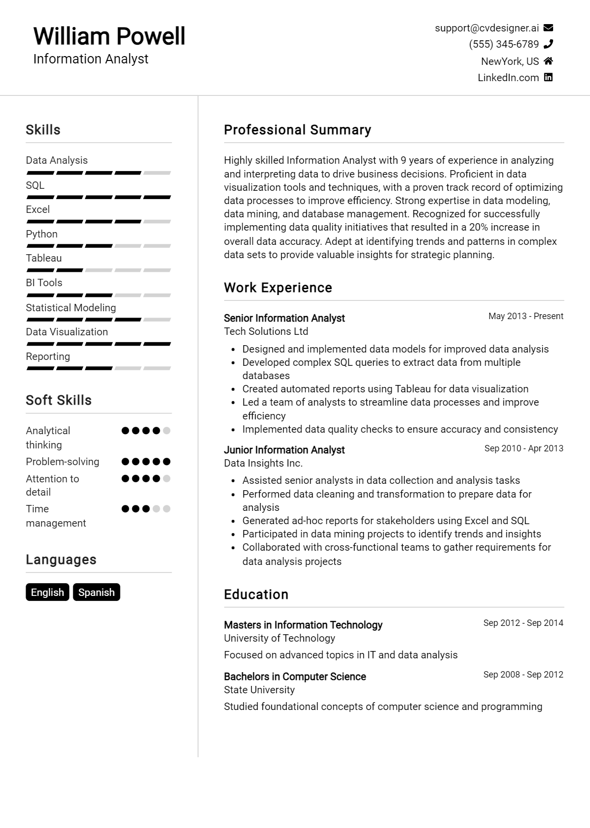 Information Analyst Resume Example