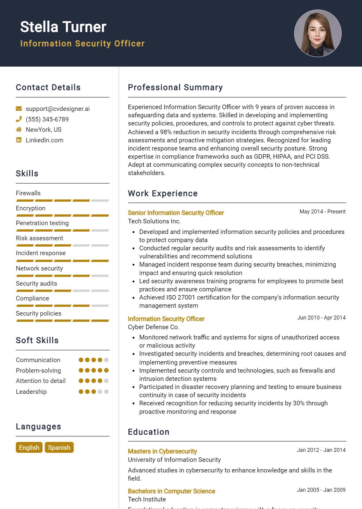 Information Security Officer Resume Example