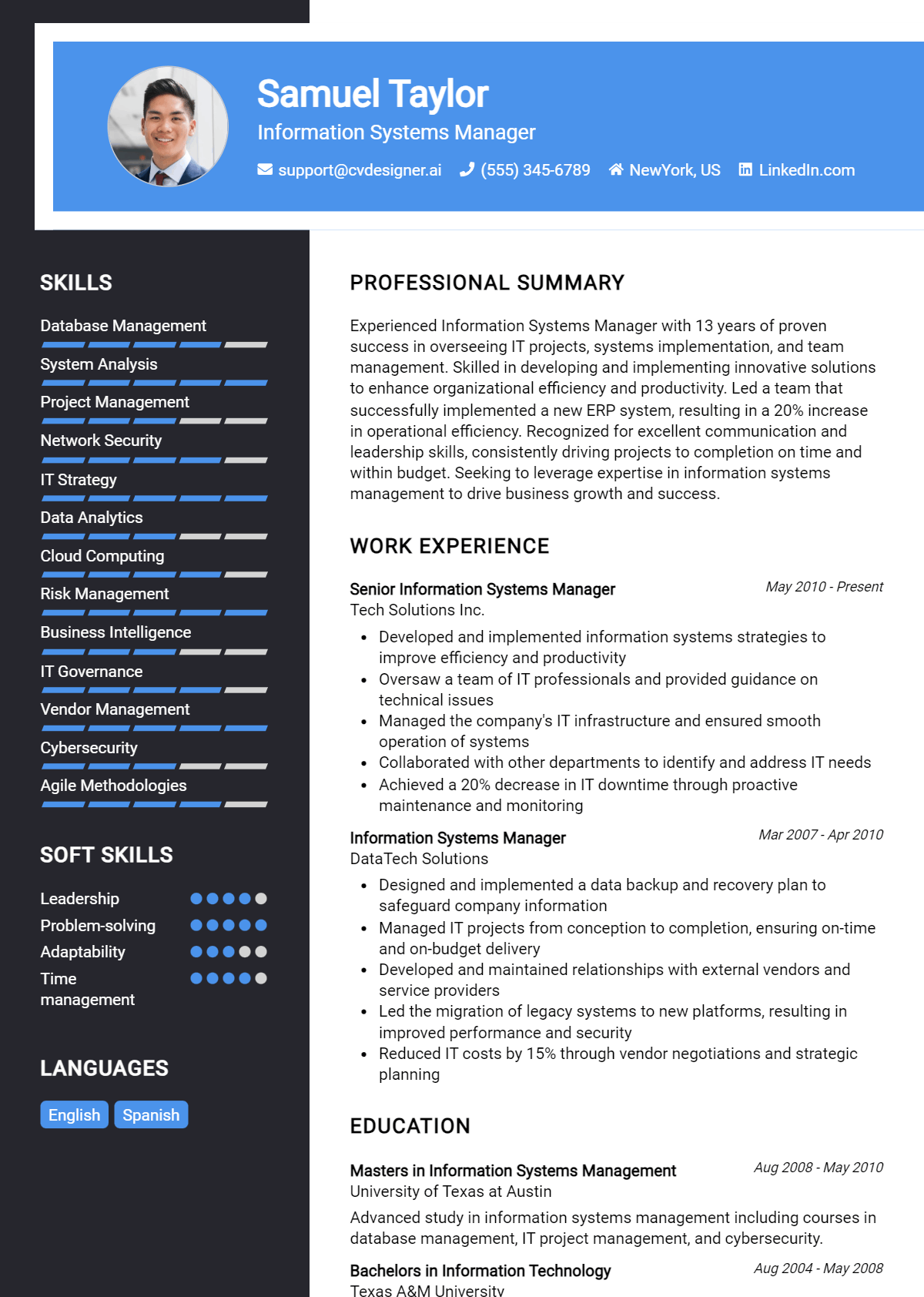 Information Systems Manager Resume Example