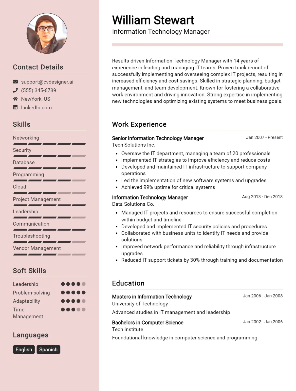 Information Technology Manager CV Example