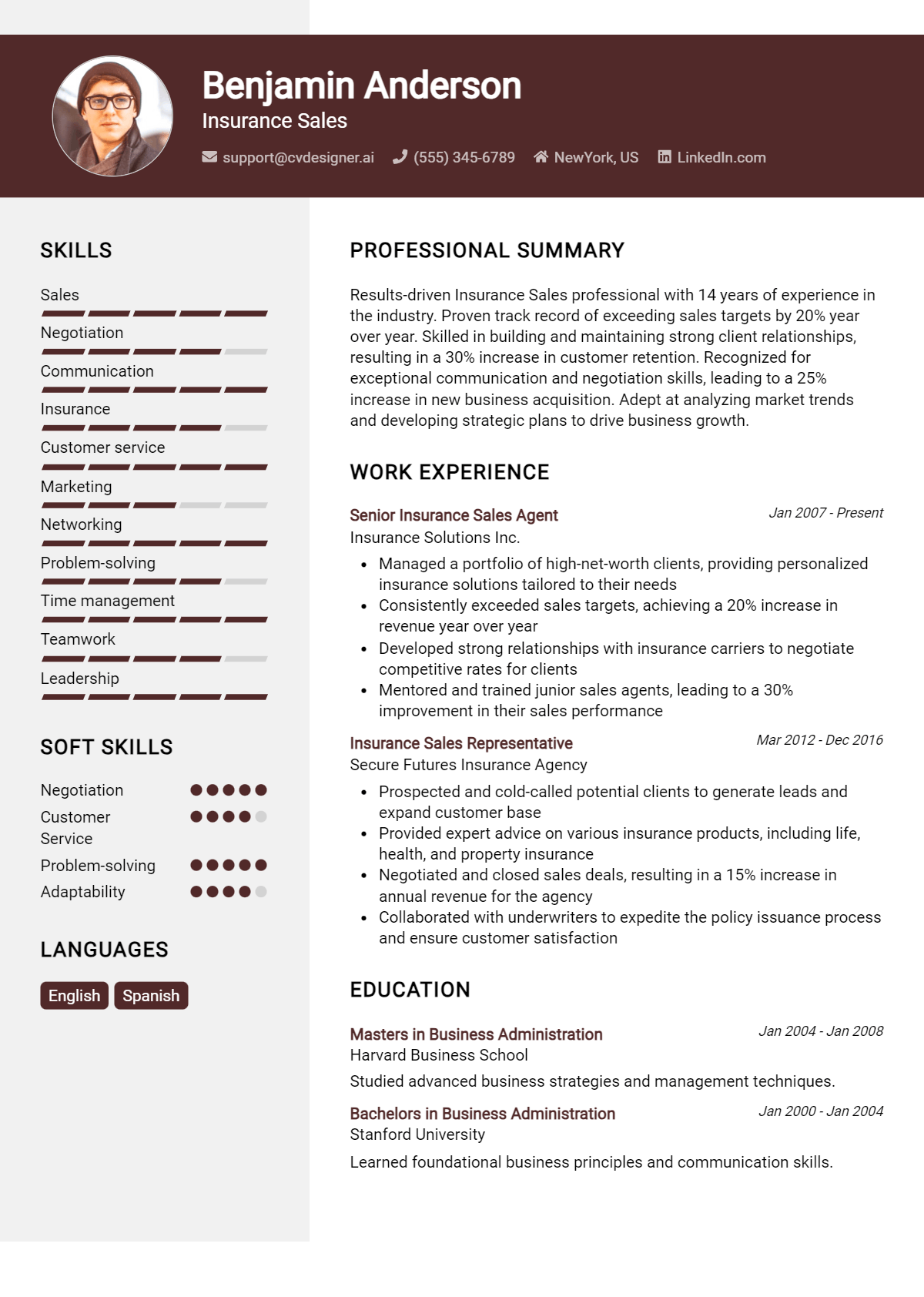 Insurance Sales Resume Example