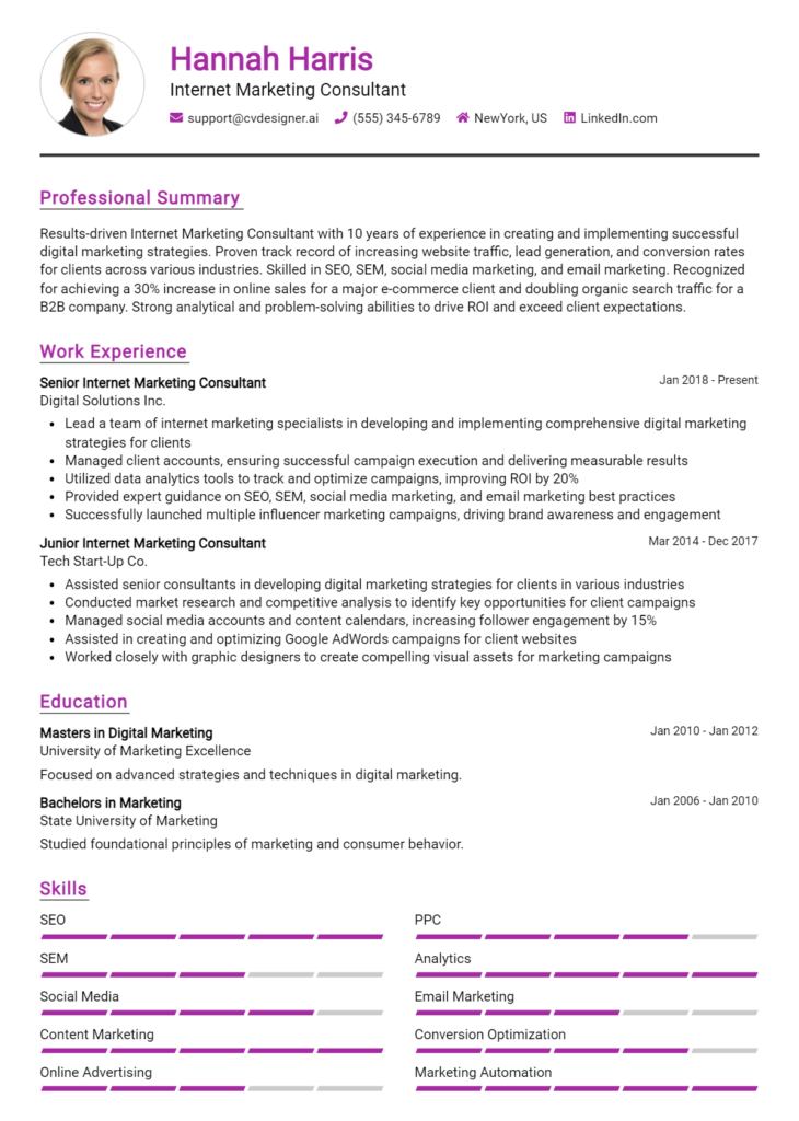 Internet Marketing Consultant Resume Example