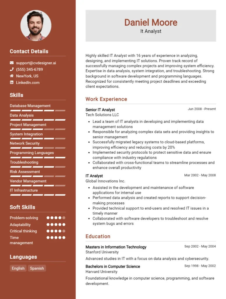 It Analyst CV Example