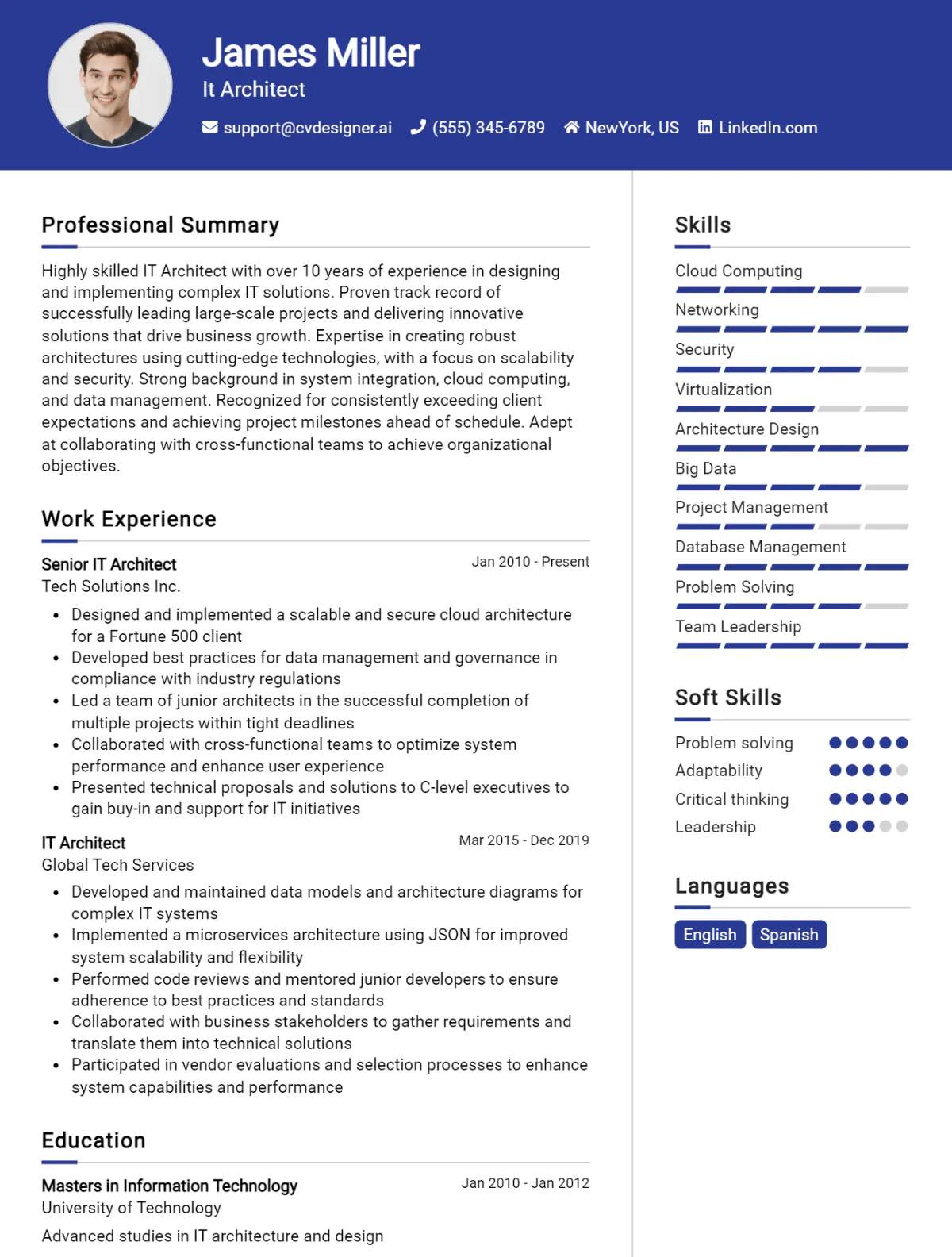 It Architect CV Example