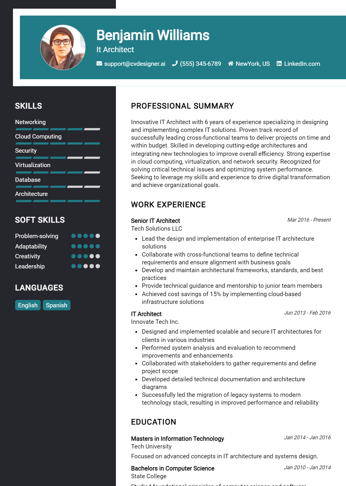 It Architect Resume Example