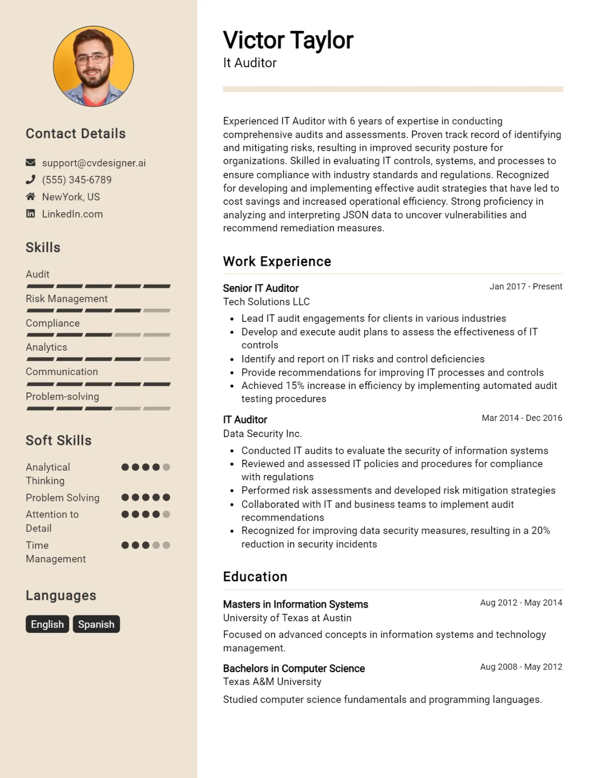 It Auditor CV Example