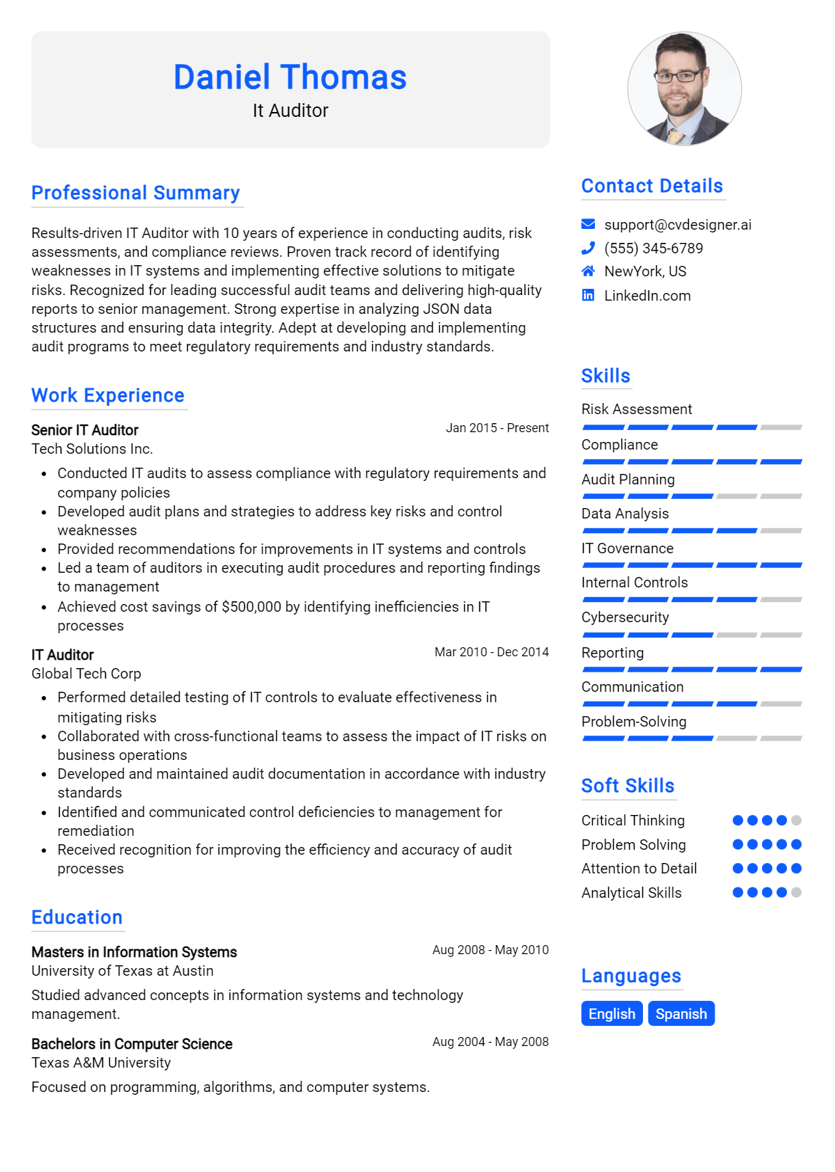 IT Auditor Resume Example for 2024 Downloadable Templates CVDesigner.ai