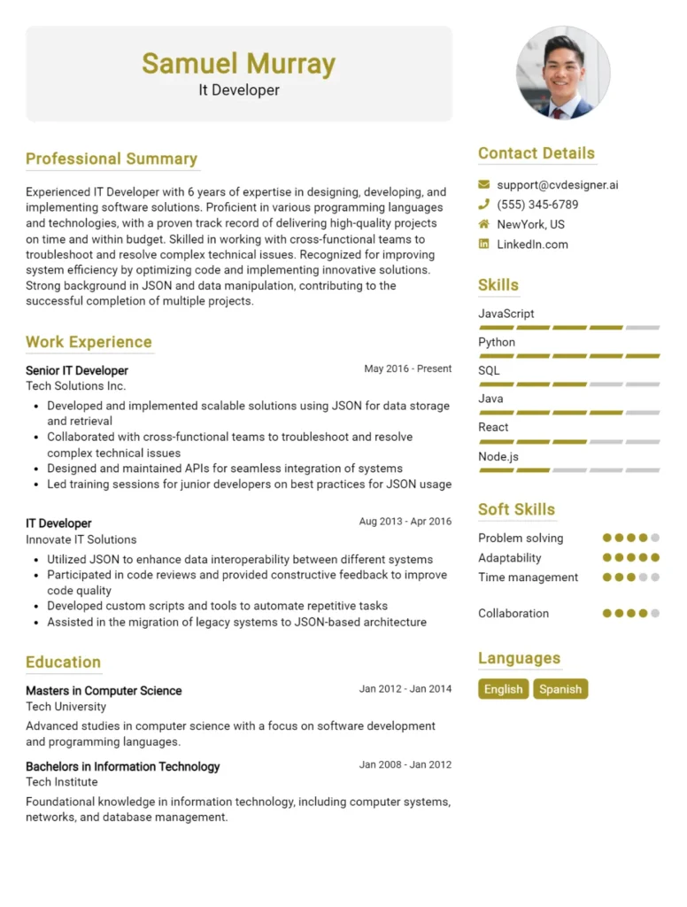 It Developer CV Example