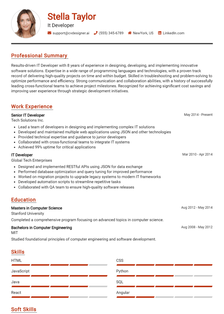 It Developer Resume Example