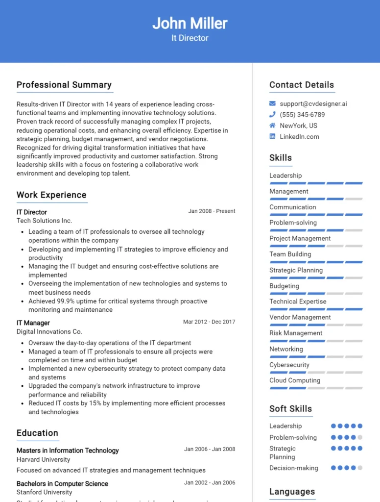 It Director CV Example