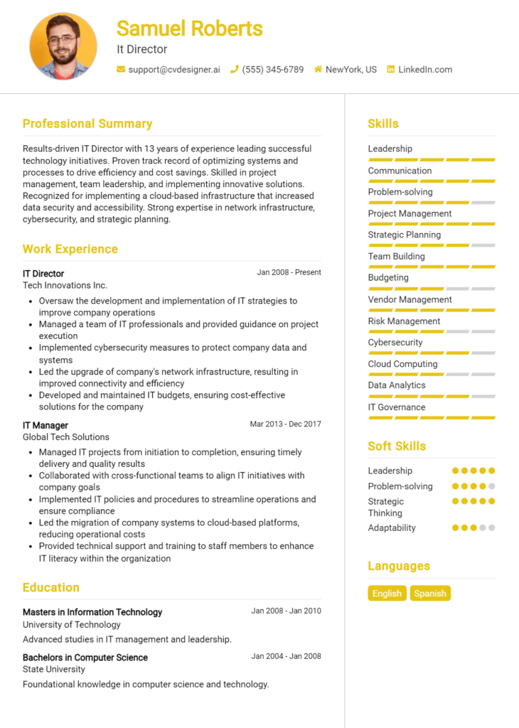 It Director Resume Example