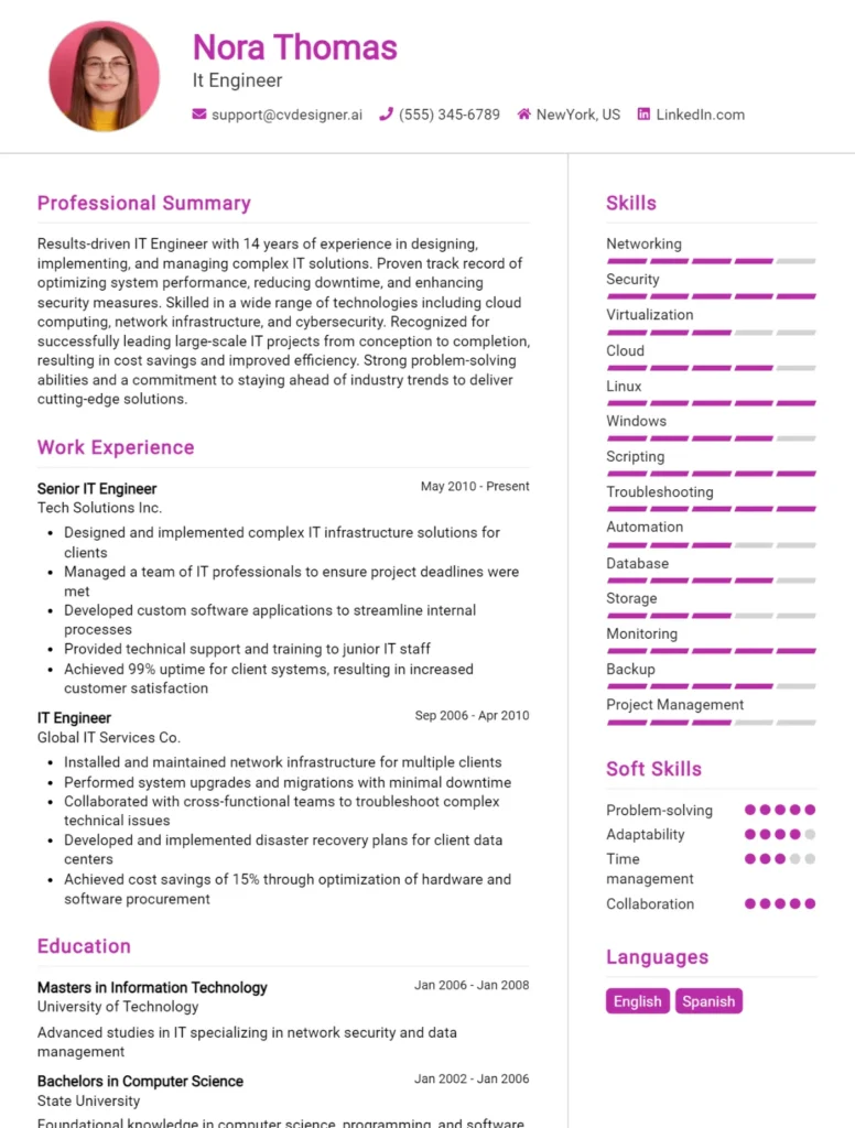 It Engineer CV Example