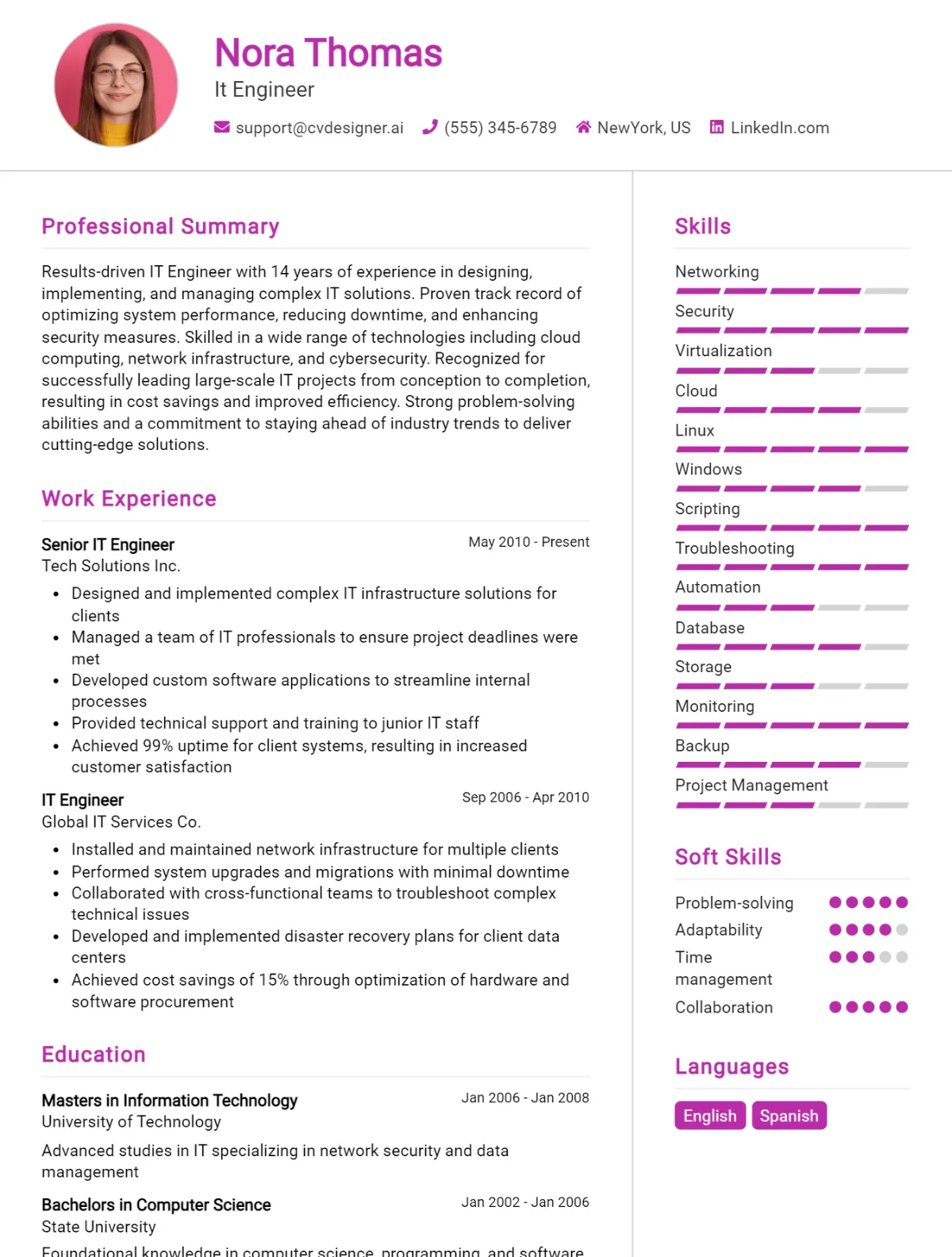 It Engineer CV Example