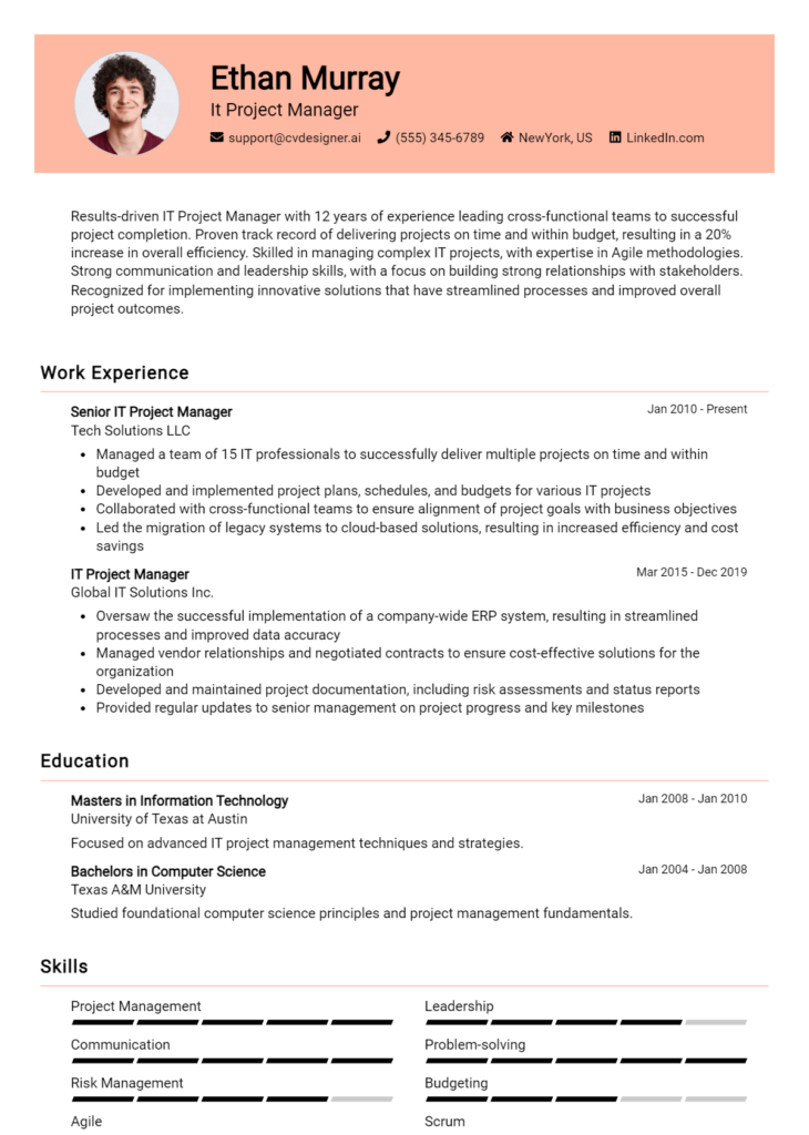 It Project Manager Resume Example