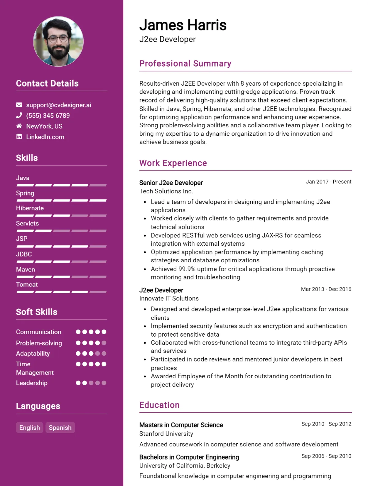 J2ee Developer CV Example