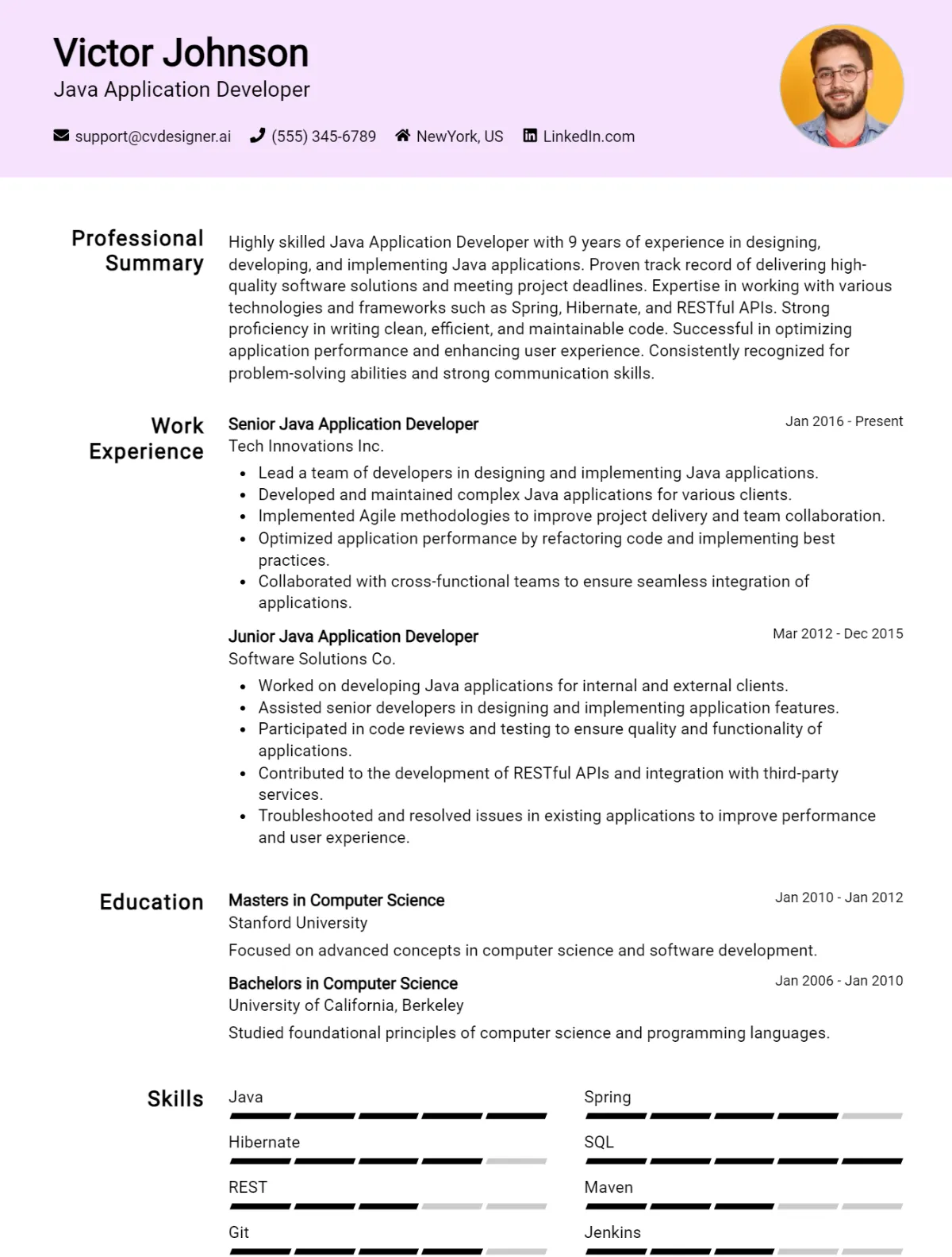 Java Application Developer CV Example