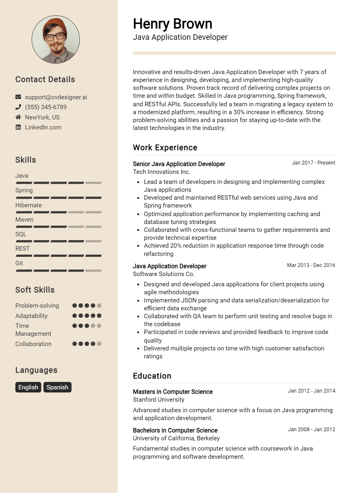 Java Application Developer Resume Example