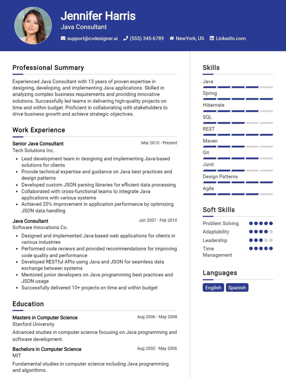 Java Consultant CV Example