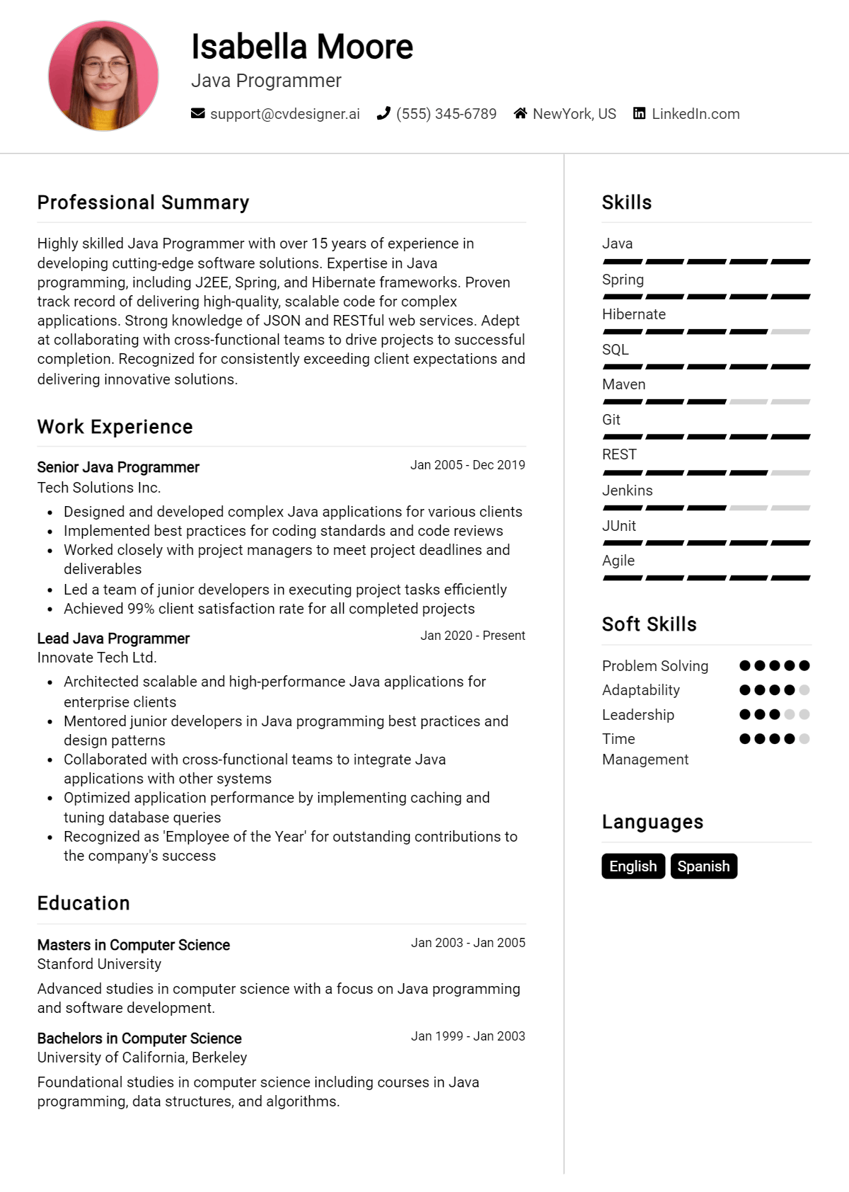 Java Programmer Resume Example