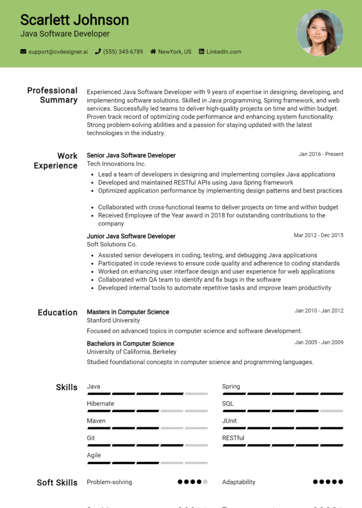 Java Software Developer Resume Example