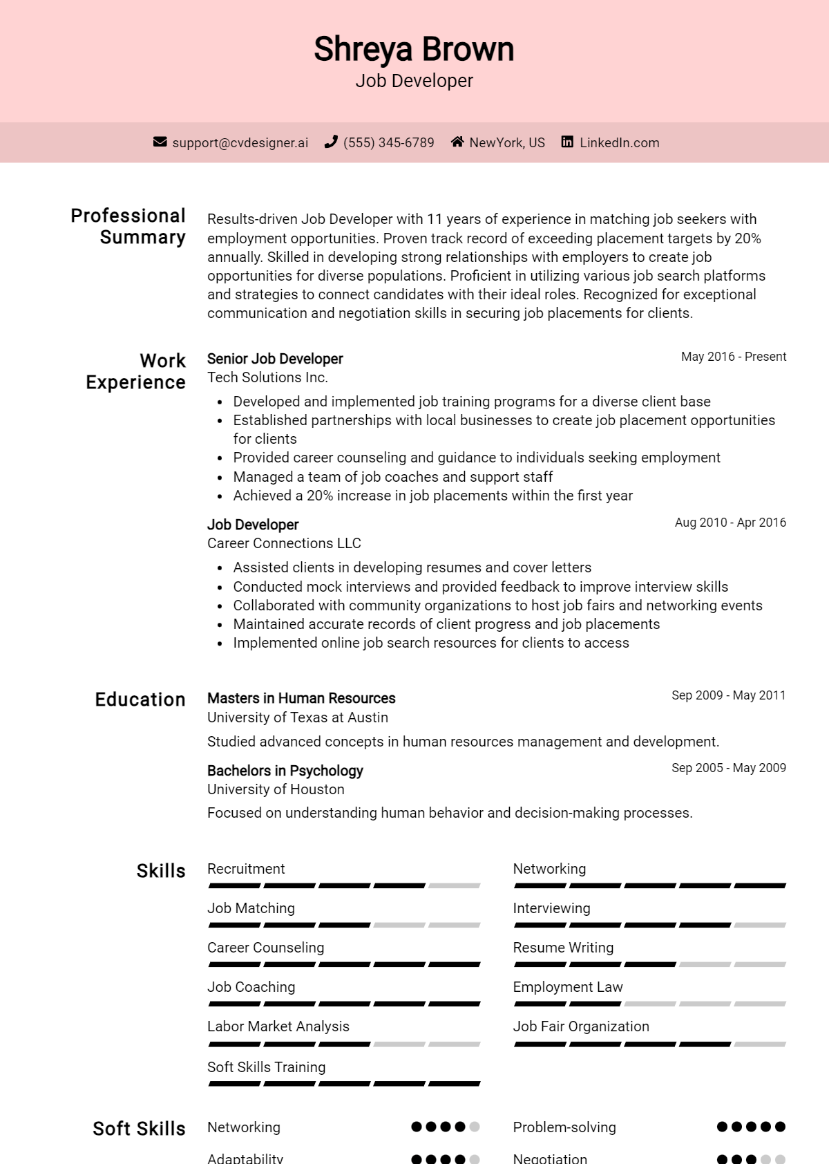 Job Developer Resume Example