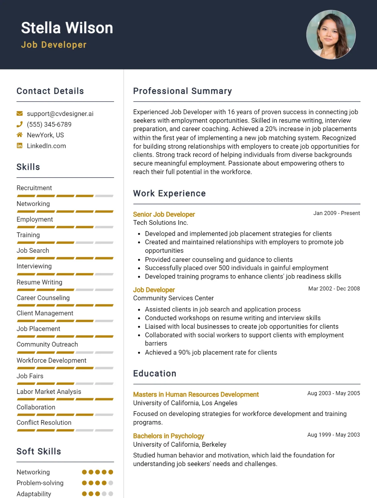 Job Developer CV Example