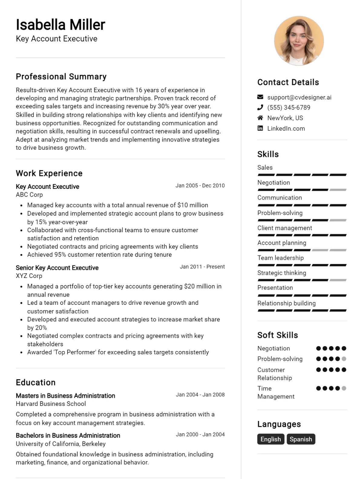 Key Account Executive CV Example