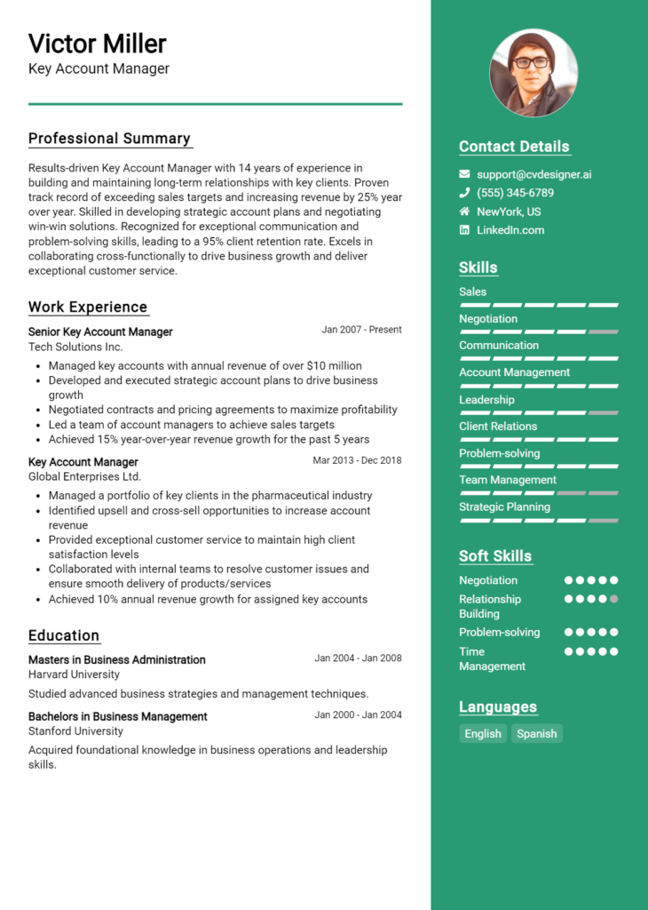 Key Account Manager Resume Example