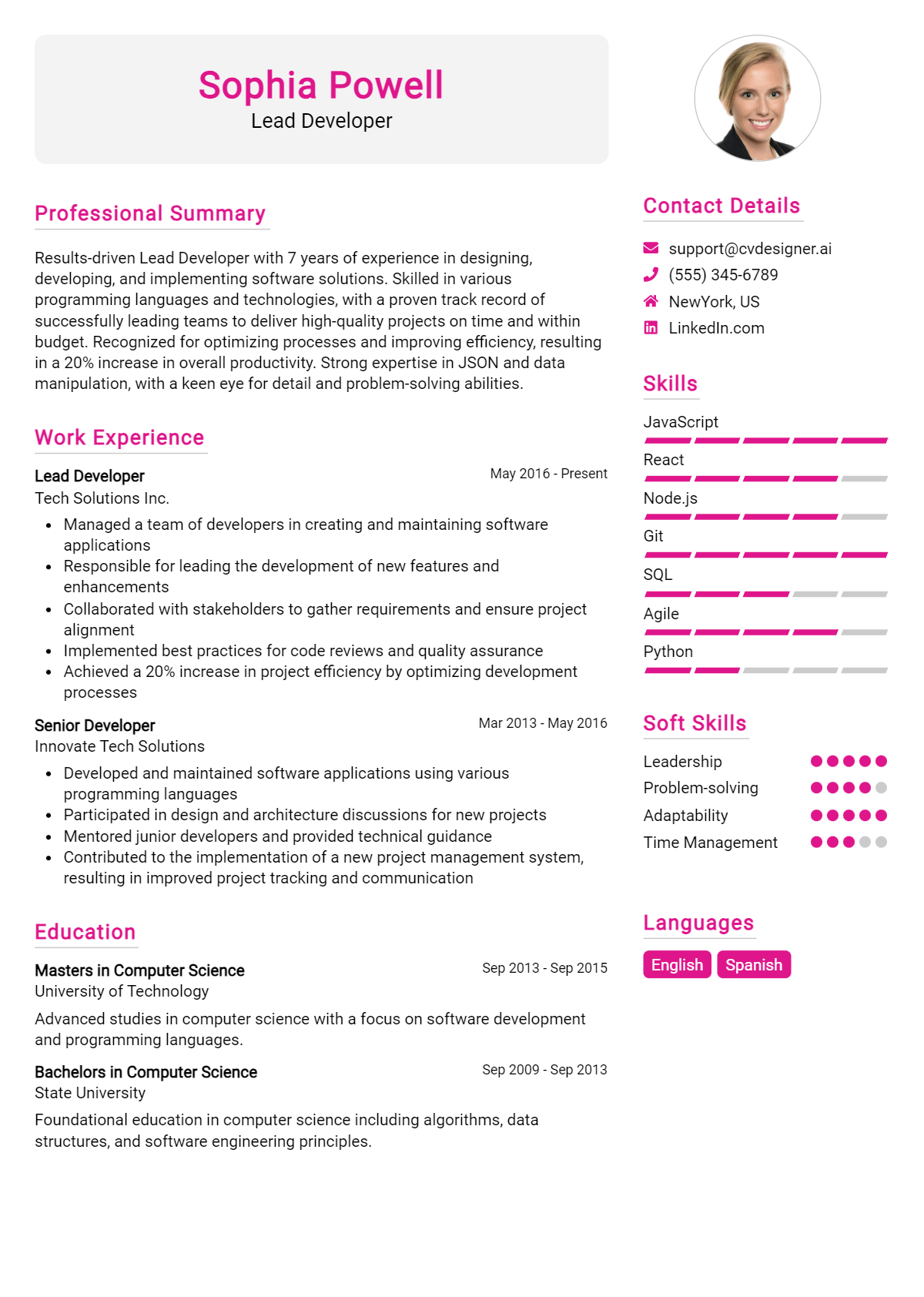 Lead Developer Resume Example
