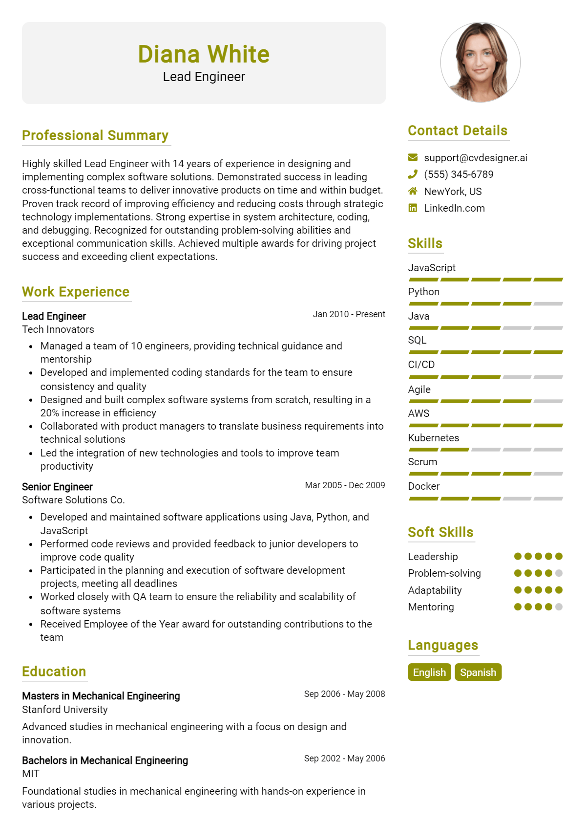 Lead Engineer Resume Example