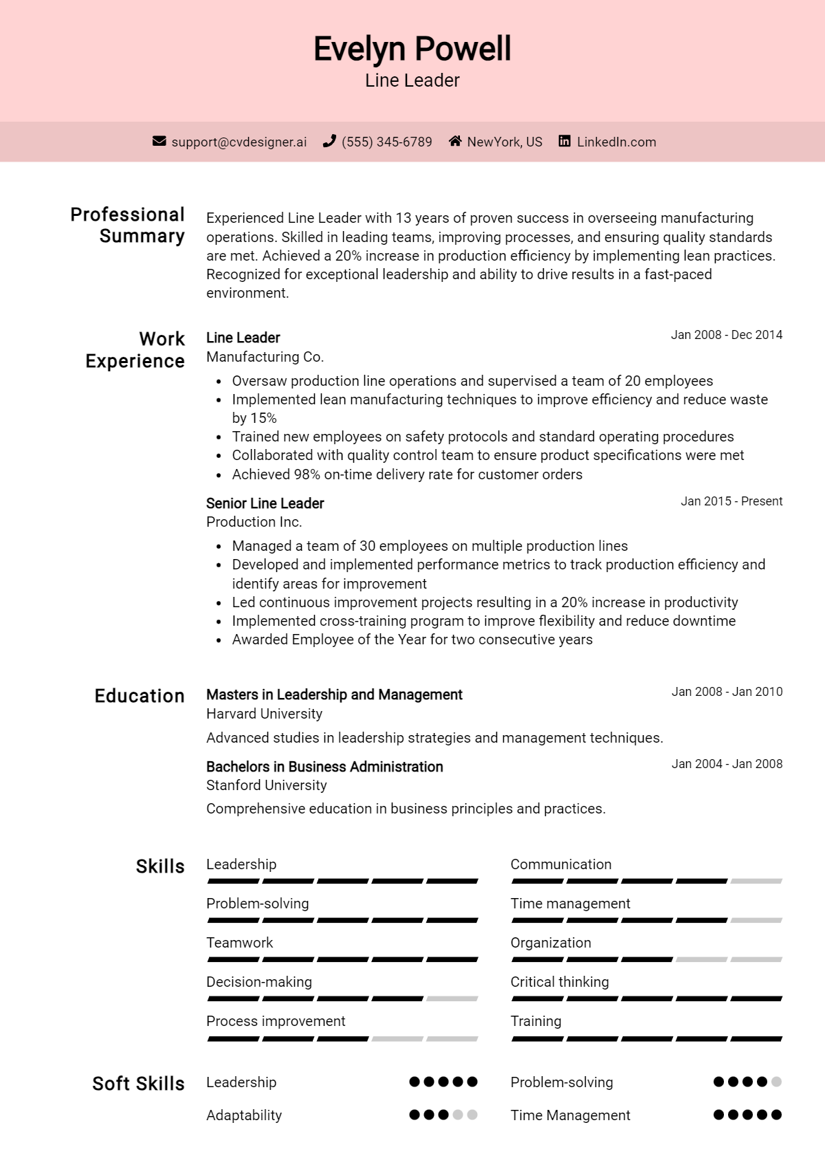 Line Leader Resume Example