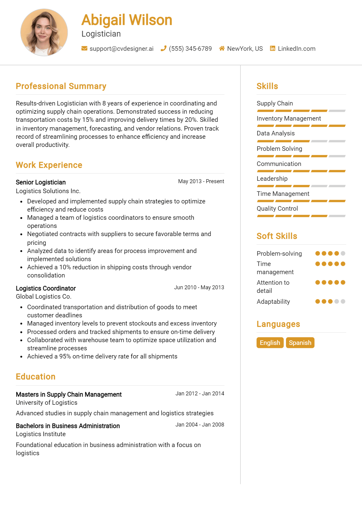 Logistician Resume Example
