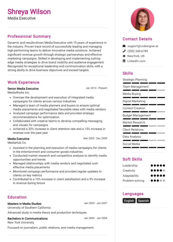 Media Executive Resume Example