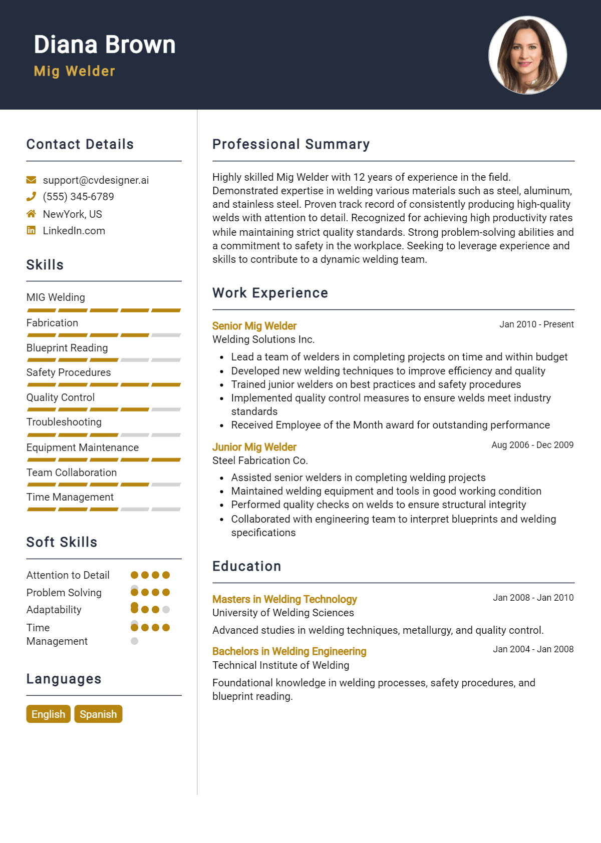 Mig Welder Resume Example