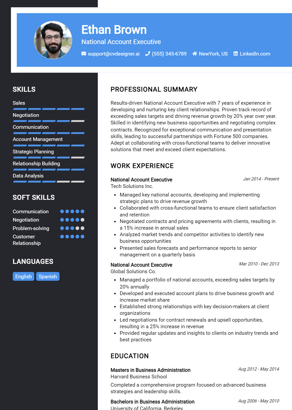 National Account Executive Resume Example